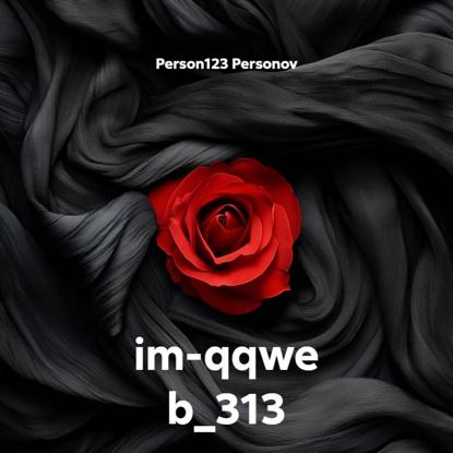 im-qqwe b_313