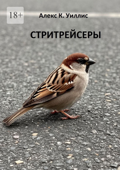 Стритрейсеры