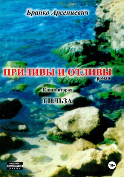 Приливы и отливы. Книга вторая. Гильза