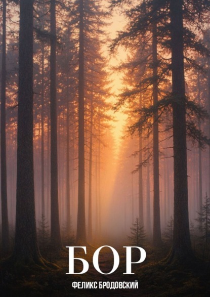 Бор. Из сборника новелл и рассказов «Мгновения»