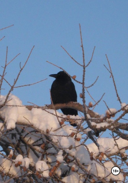 Alexey Vayamretyl is a samurai lying on clean water and his real Kamchat path.