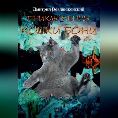 ПРИКЛЮЧЕНИЯ КОШКИ БОНИ