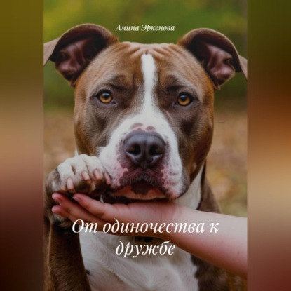 От одиночества к дружбе