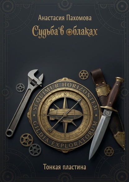 Судьба в облаках. Тонкая пластина