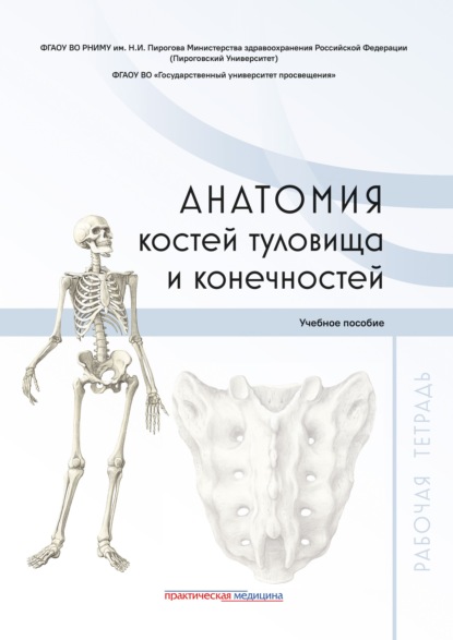 Анатомия костей туловища и конечностей. Рабочая тетрадь