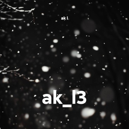 ak_l3