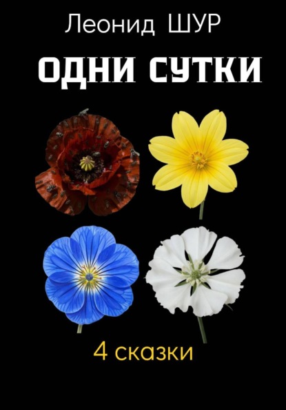 Одни сутки