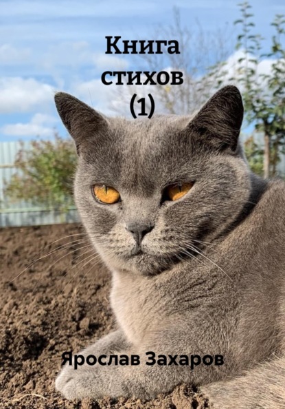 Книга стихов (1)