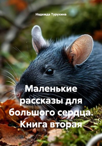 Маленькие рассказы для большого сердца. Книга вторая