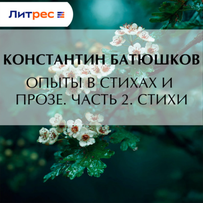 Опыты в стихах и прозе. Часть 2. Стихи