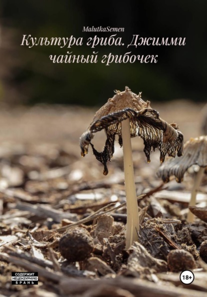 Культура гриба. Джимми чайный грибочек