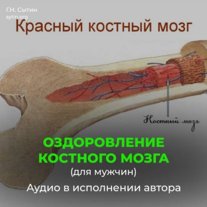 Оздоровление костного мозга для мужчин