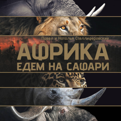 Африка. Едем на сафари