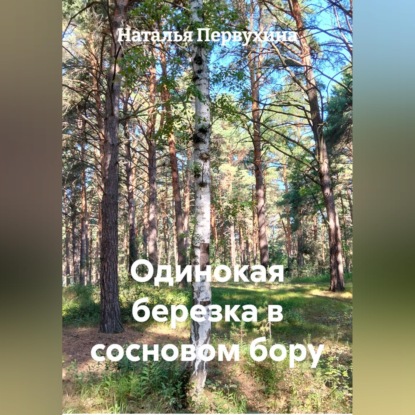 Одинокая березка в сосновом бору
