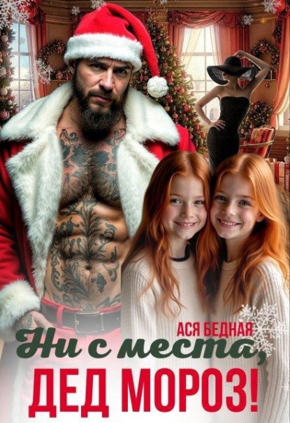 Ни с места, Дед Мороз!