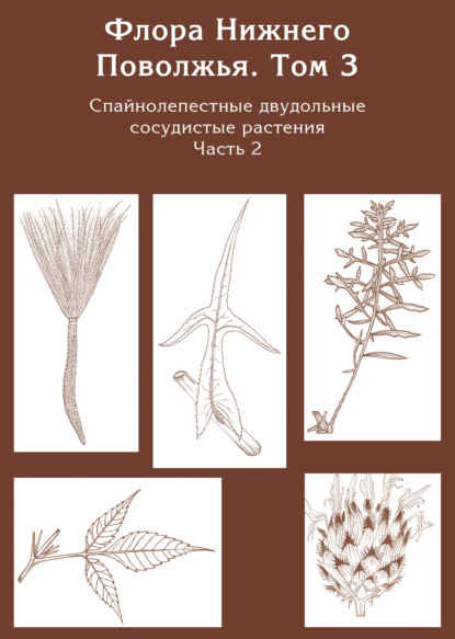 Флора Нижнего Поволжья. Том 3. Часть2. Спайнолепестные двудольные сосудистые растения (Asteraceae). Дополнения к предыдущим томам
