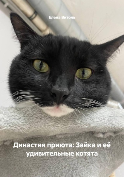 Династия приюта: Зайка и её удивительные котята