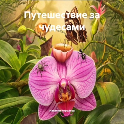 Путешествие за чудесами