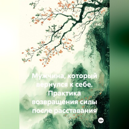 Мужчина, который вернулся к себе. Практика возвращения силы после расставания