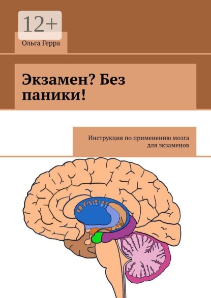 Экзамен? Без паники! Инструкция по применению мозга для экзаменов