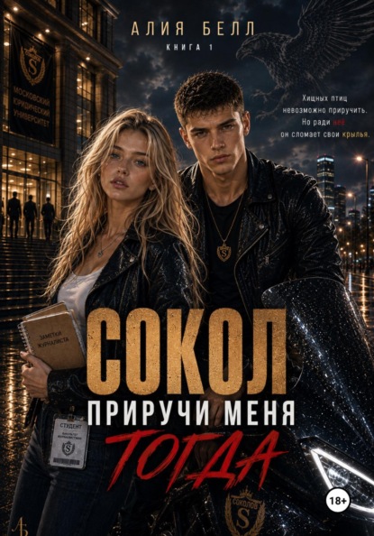 Сокол: Приручи меня. ТОГДА