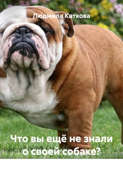 Что вы ещё не знали о своей собаке?
