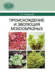 бесплатно читать книгу Происхождение и эволюция мохообразных автора Геннадий Рыковский