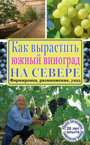 бесплатно читать книгу Как вырастить южный виноград на севере автора Юрий Загвоздин