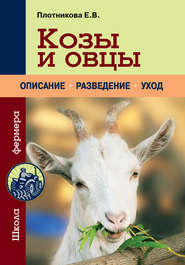 бесплатно читать книгу Козы и овцы автора Елена Плотникова