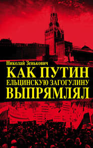 бесплатно читать книгу Как Путин ельцинскую загогулину выпрямлял автора Николай Зенькович