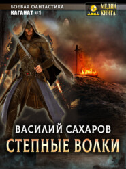 бесплатно читать книгу Степные волки автора Василий Сахаров