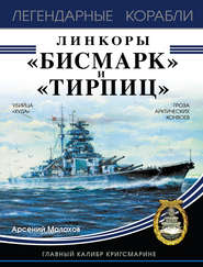 бесплатно читать книгу Линкоры «Бисмарк» и «Тирпиц» автора Арсений Малахов