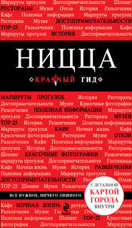 бесплатно читать книгу Ницца. Путеводитель автора Виктор Пушкин