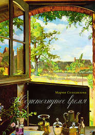 бесплатно читать книгу Незастёгнутое время автора Мария Солодилова