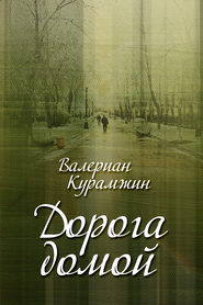 бесплатно читать книгу Дорога домой (сборник) автора Валериан Курамжин