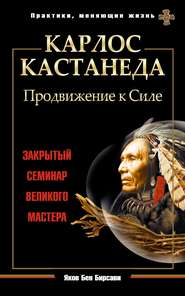 бесплатно читать книгу Карлос Кастанеда. Продвижение к Силе. Закрытый семинар великого мастера автора Яков Бирсави