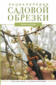 бесплатно читать книгу Энциклопедия садовой обрезки автора Ирина Окунева