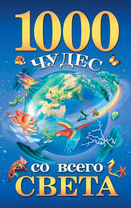 бесплатно читать книгу 1000 чудес со всего света автора Елена Гурнакова