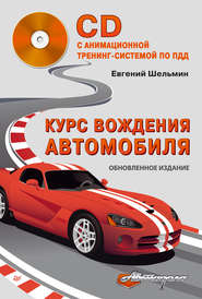 бесплатно читать книгу Курс вождения автомобиля автора Евгений Шельмин