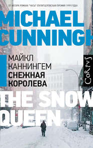 бесплатно читать книгу Снежная королева автора Майкл Каннингем