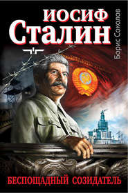 бесплатно читать книгу Иосиф Сталин – беспощадный созидатель автора Борис Соколов