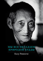 бесплатно читать книгу Мы все обладаем природой Будды автора Калу Ринпоче