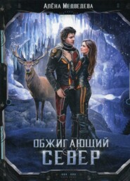 бесплатно читать книгу Обжигающий север автора Алёна Медведева