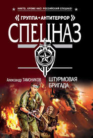 бесплатно читать книгу Штурмовая бригада автора Александр Тамоников