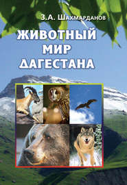 бесплатно читать книгу Животный мир Дагестана автора Зияудин Шахмарданов