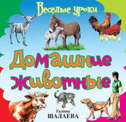 бесплатно читать книгу Домашние животные автора Галина Шалаева