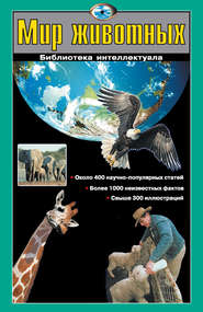 бесплатно читать книгу Мир животных автора Любовь Кашинская