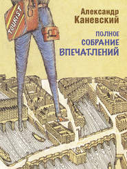бесплатно читать книгу Полное собрание впечатлений автора Александр Каневский