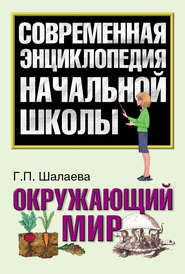 бесплатно читать книгу Окружающий мир автора Галина Шалаева