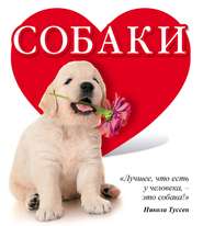 бесплатно читать книгу Собаки автора Евгения Гюнтер